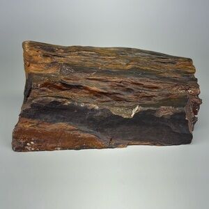 Petrified Wood